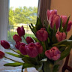 Meet your Posher, Nigora